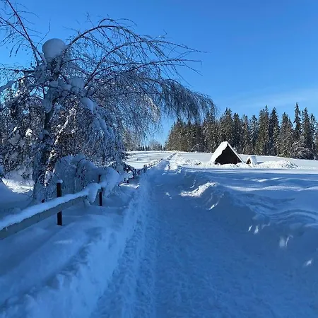Chalet Osada Pod Giewontem 3 - Kacprowy