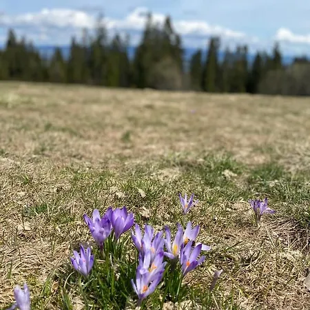 Osada Pod Giewontem 3 - Kacprowy * Czerwienne