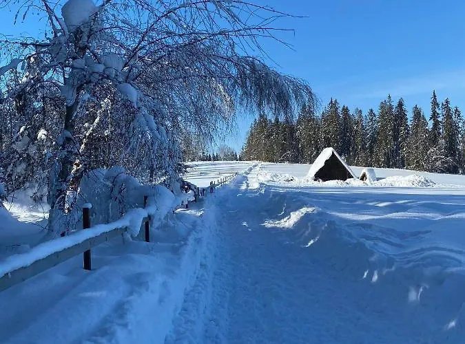 Chalet Osada Pod Giewontem 3 - Kacprowy